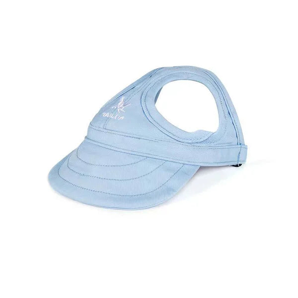 Outdoor Sun Protection Hood for Dogs